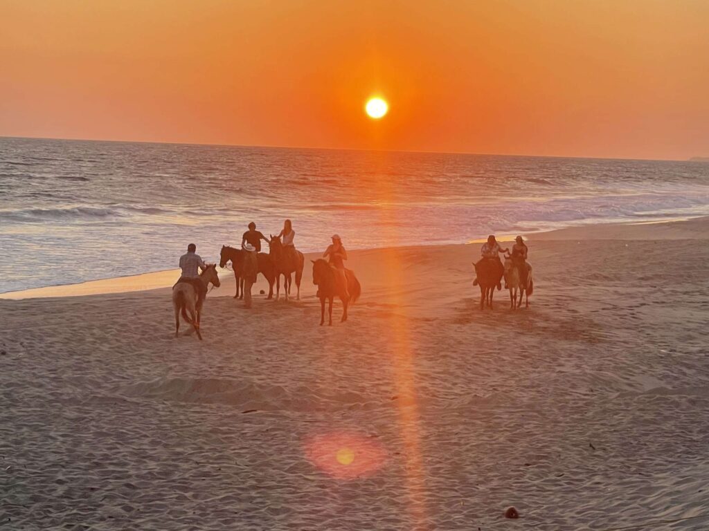 horse riding playa palmarito scaled