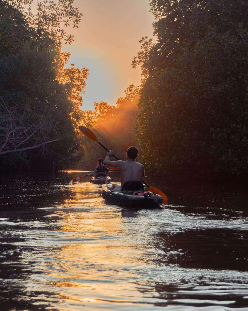 mangrove kayaking tour 3