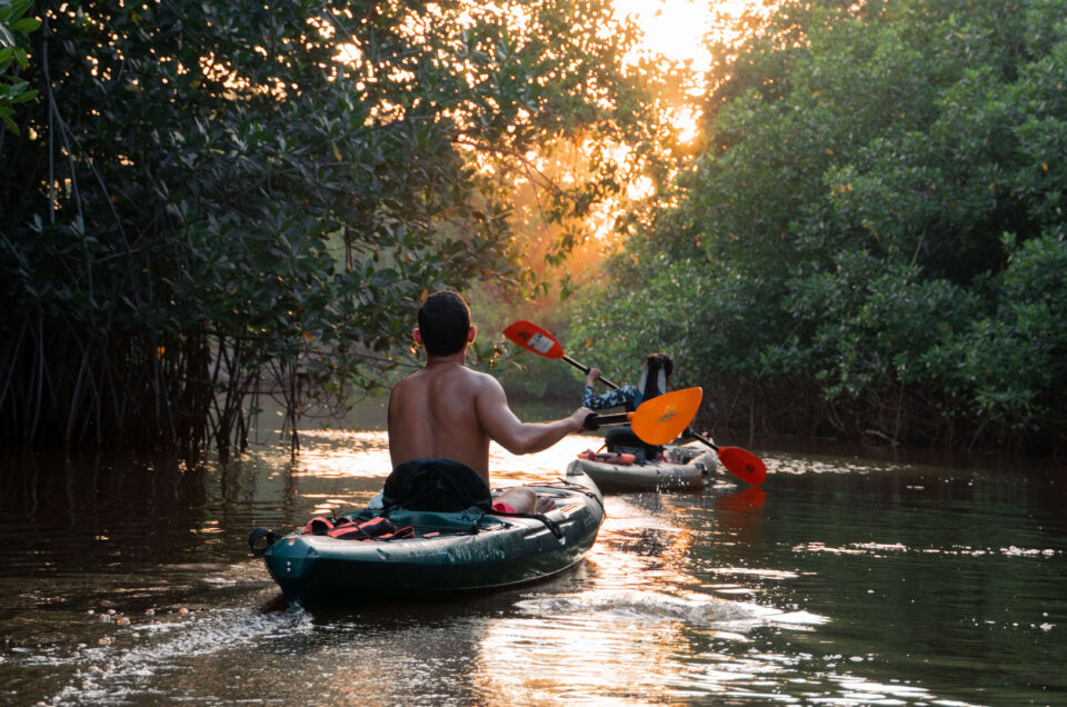 Mangrove Kayaking Puerto Escondido